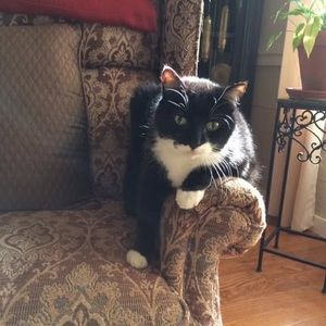 Meet your Posher, Debora